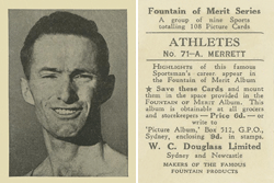 Fountain of Merit - Merrett